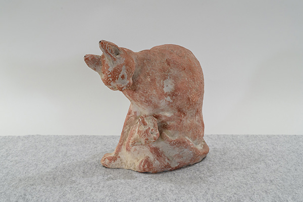 親子猫