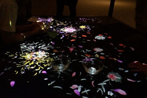 茨城県北芸術祭特別展示 チームラボ