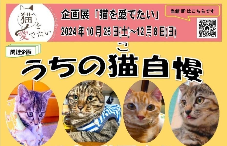 うちの猫(こ)自慢