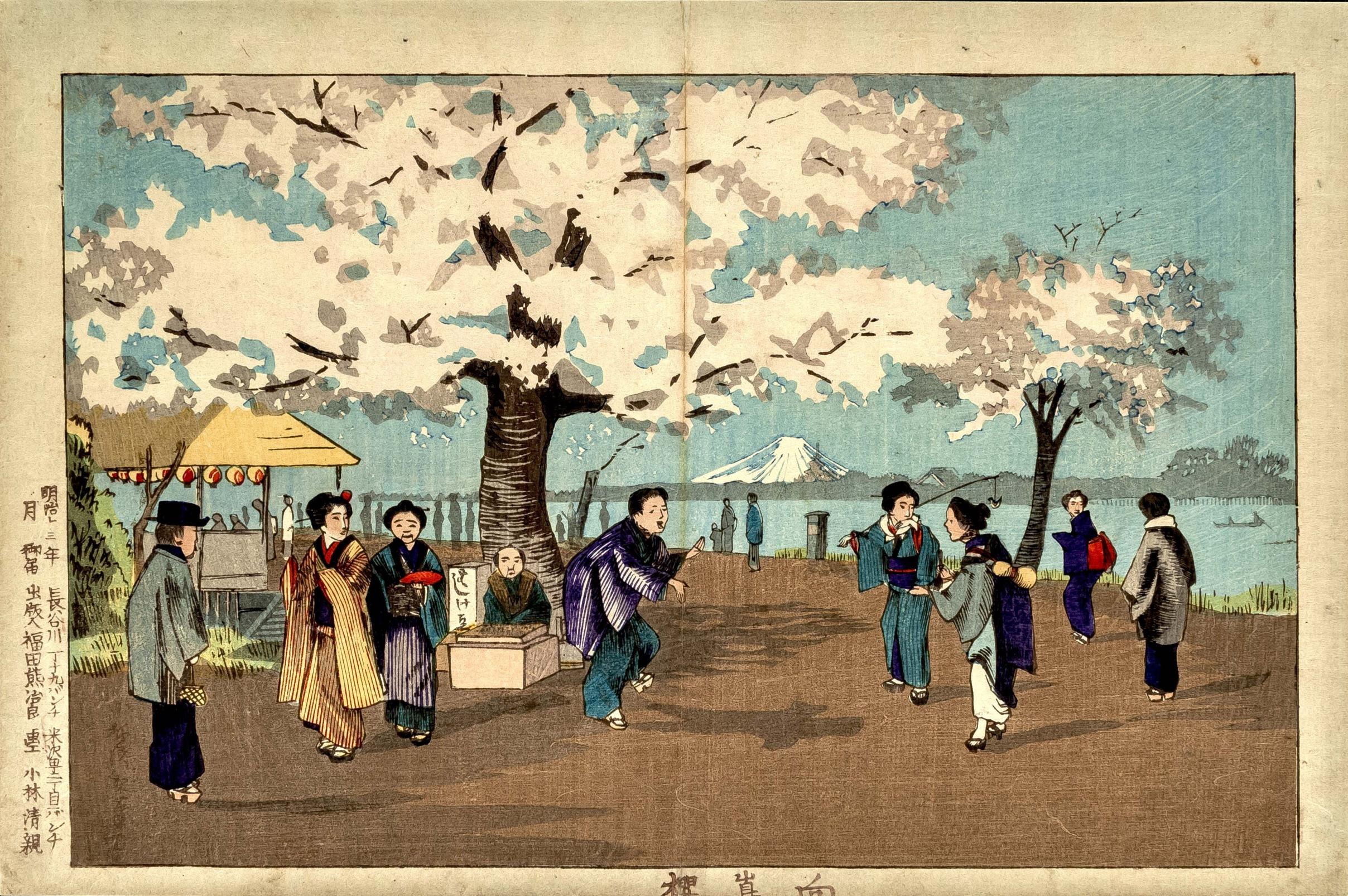 小林清親「向島桜」