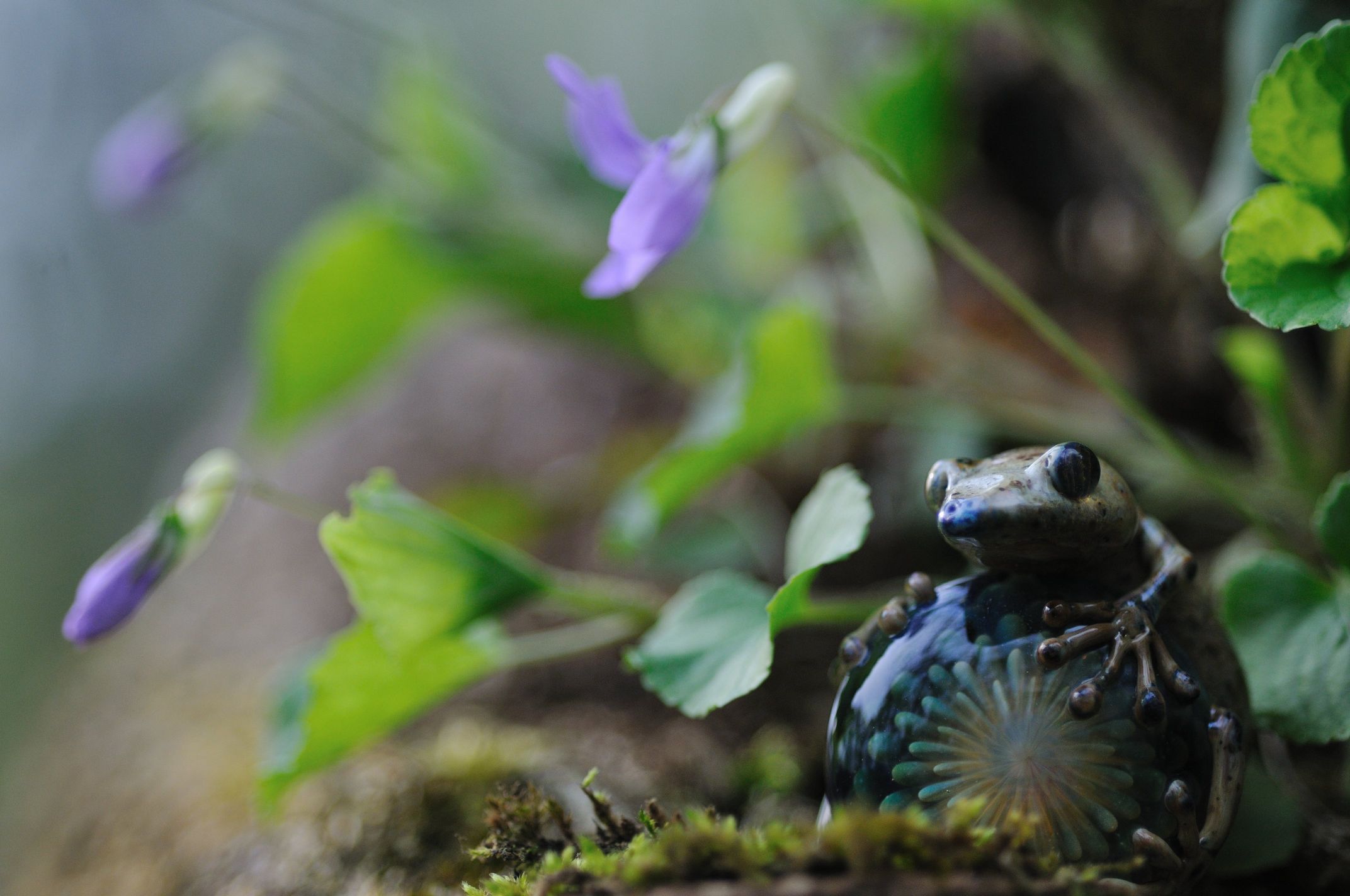高山ケンタロー「Gecko on a mashuroom」.jpg