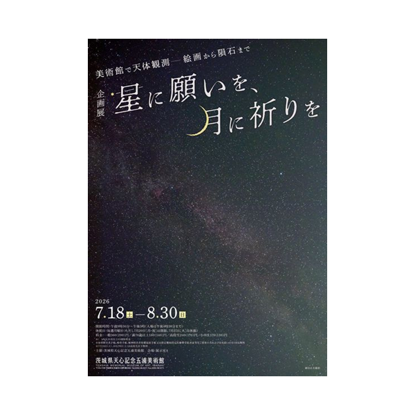 星に願いを、月に祈りを